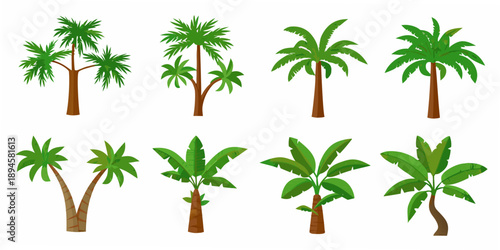 A collection of various tropical trees and plants in cartoon style