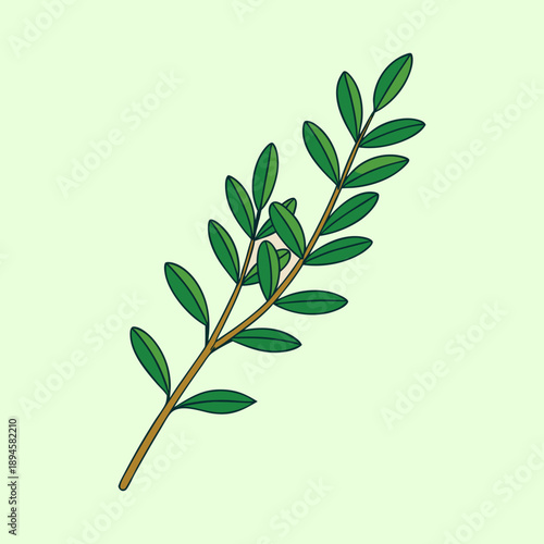 Illustration of a leafy green sprig on a light green background