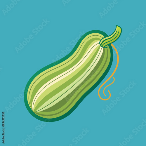 Stylized fresh green zucchini vegetable artwork against a turquoise background design