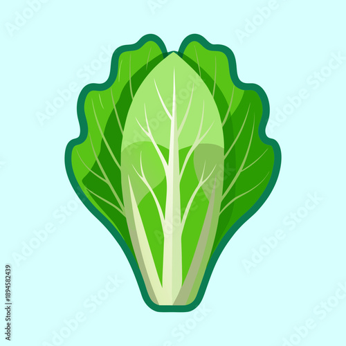 Stylized Head of Napa Cabbage with Intricate Veins and Green Leaves