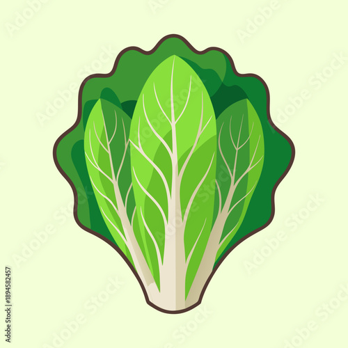 Stylized Green Bok Choy Plant Illustration on Light Yellow Background for Design Projects