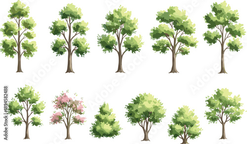 Collection of green trees and flowering plants illustration set, natural forest foliage elements, eco environment design, landscaping concept, botanical diversity isolated on white background