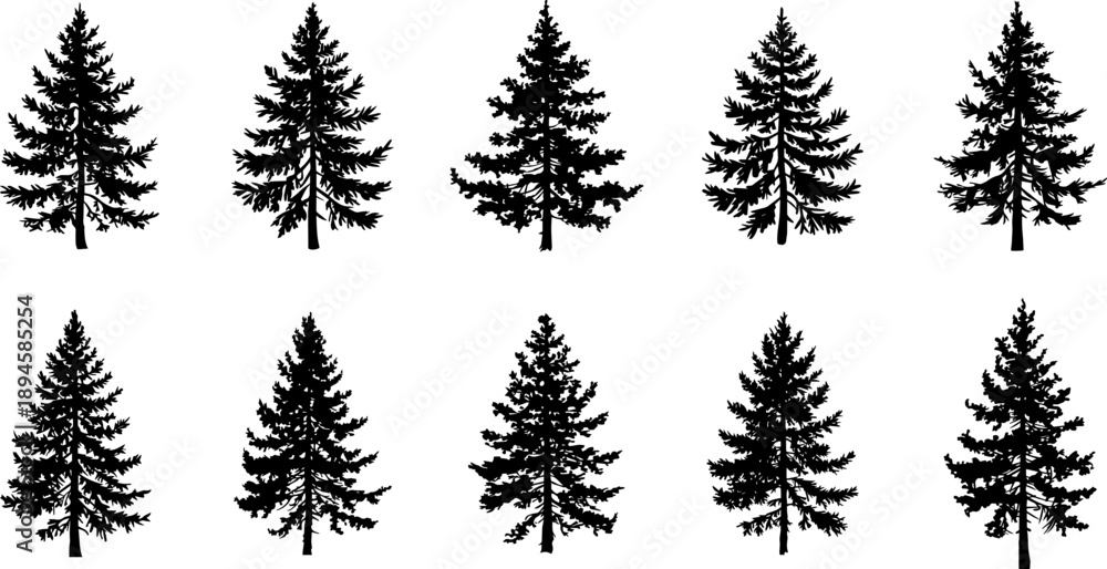 Fototapeta premium Pine Tree Silhouettes Collection