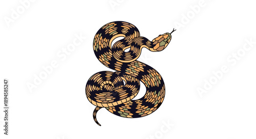 Detailed illustration of a coiled snake with brown and black patterns on its scales flicking its tongue out on a white background.