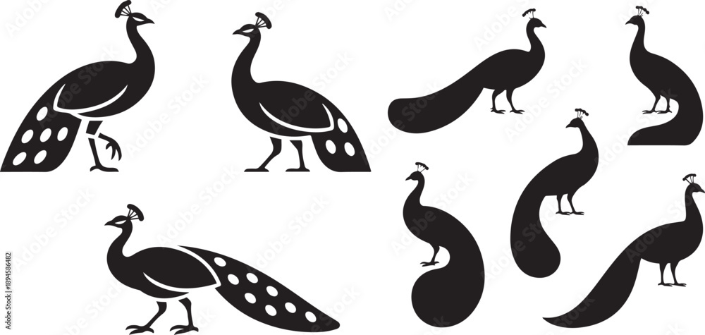 Obraz premium set of minimal peacock bird. silhouette vector icon illustration with white background.