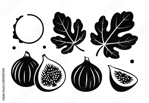 Black and White Illustration of Figs and Leaves