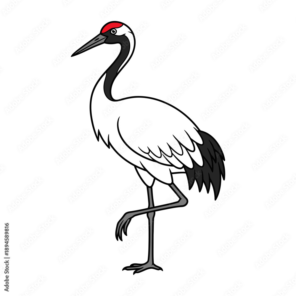 Obraz premium Illustration of a Red Crowned Crane.