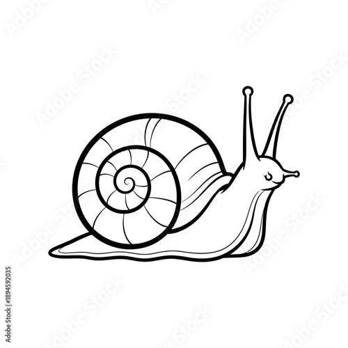 Black and White Snail Illustration.