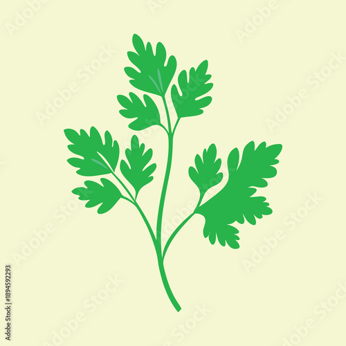 Bright green sprig of parsley against a light yellow background art