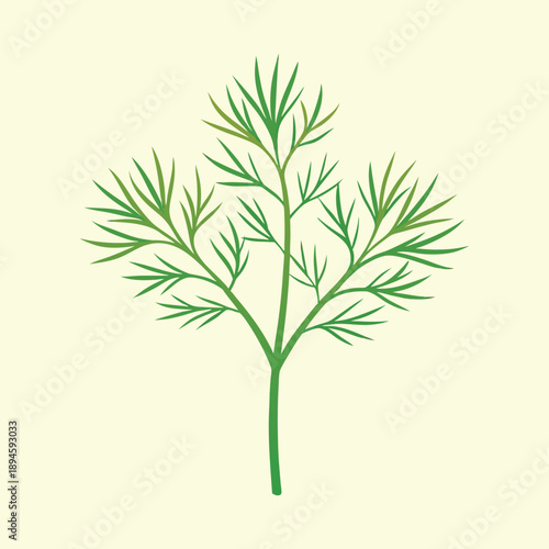 A sprig of dill on a cream background, simple and elegant drawing