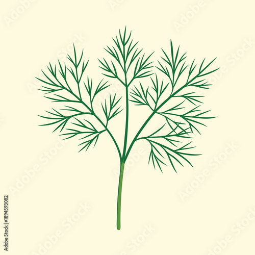 Stylized Illustration of a Dill Plant on Cream Colored Background Surface