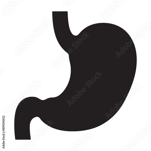 A silhouette of a human stomach against a white background for medical use silhouette vector shilhoutte icon use as a symbol, web graphic design, and infographic icon