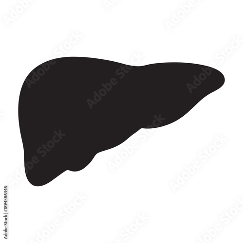 A silhouette of a human liver against a plain white background vector shilhoutte icon use as a symbol, web graphic design, and infographic icon