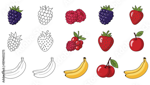 Diverse set of colorful fruit and berry illustrations including blackberries raspberries strawberries and bananas.