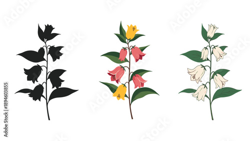 Tall floral sprig with hanging bell flowers shown in silhouette and two colored versions for natural organic designs.