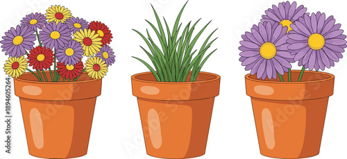 Three potted plants illustration with colorful daisy flowers and green grass, cute garden flowerpots, botanical vector design isolated on white background