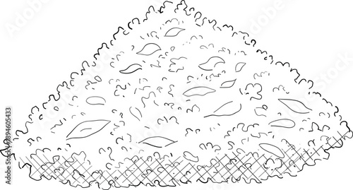 Medicinal plants for Herbal homemade organic tincture. Alternative medicine, herbal collection. Hand drawn ink style vector illustration