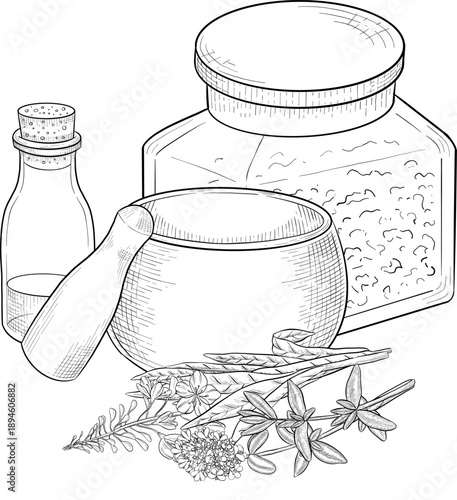 Medicinal plants for Herbal homemade organic tincture. Alternative medicine, herbal collection. Hand drawn ink style vector illustration
