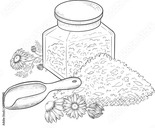 Medicinal plants for Herbal homemade organic tincture. Alternative medicine, herbal collection. Hand drawn ink style vector illustration