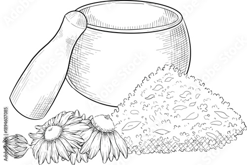 Medicinal plants for Herbal homemade organic tincture. Alternative medicine, herbal collection. Hand drawn ink style vector illustration