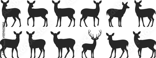 Deer animal vector silhouettes, wild forest wildlife illustration, standing and walking poses for nature, hunting, and outdoor scene design