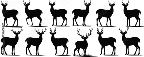 Deer silhouette vector illustration of standing, walking deer stag poses, animal wildlife collection for hunting, forest or outdoor nature design
