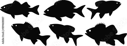 Freshwater fish silhouette collection, aquatic animal vector set, flat black fish shapes, fishing icon design, editable nature-themed illustration