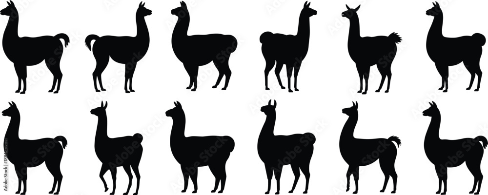 Fototapeta premium Llama silhouette side pose set, South American camelid vector collection for farm design, textile prints, decor, and graphic illustrations