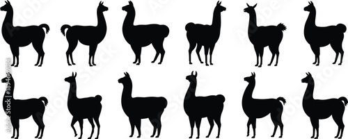Llama silhouette side pose set, South American camelid vector collection for farm design, textile prints, decor, and graphic illustrations