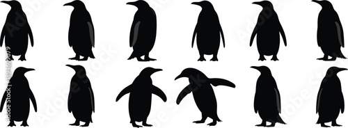 Penguin silhouette vector set of walking and standing poses, black flat animal illustration for wildlife, arctic, winter or nature design