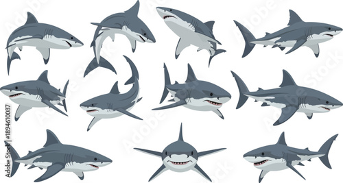 Great White Shark Character Illustration Set with Various Swimming and Jumping Poses Isolated
