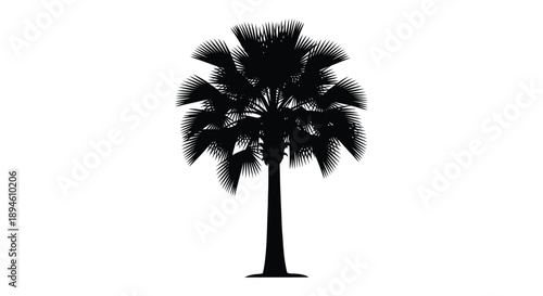 A detailed black palm tree illustration with abundant foliage perfect for designs on transparent background silhouette high quality professional modern elegant
