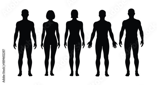 Five human figures arranged in a row displaying varied body shapes on transparent background silhouette high quality professional detailed modern elegant