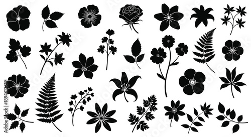 A collection of various floral and botanical black silhouettes ideal for design projects on transparent background silhouette high quality professional detailed