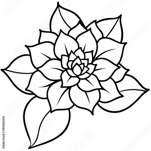 black and white flower