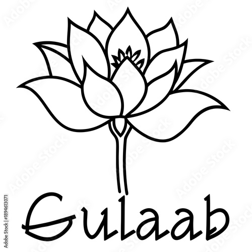 vector illustration of a flower