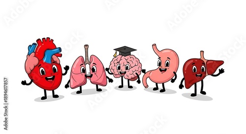Cartoon human organs dancing together with heart leading the group in a fun lively scene