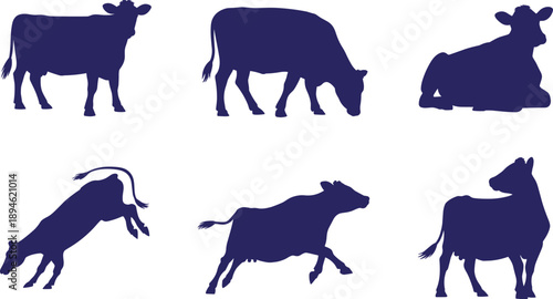 Cow and cattle silhouette illustration set featuring bulls and cows grazing running resting farm livestock animals solid blue vector collection for agriculture rural design