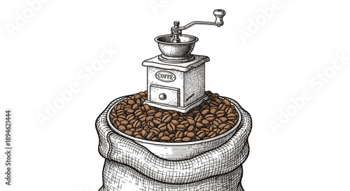 A beautifully detailed hand-drawn engraving illustrates a vintage manual coffee grinder resting on a large burlap sack filled with fresh roasted coffee beans, isolated on white.
