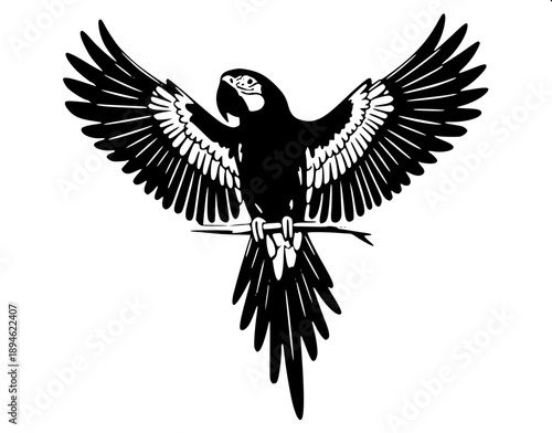 Monochrome parrot head drawing, side view, thick black strokes, negative space feathers, modern logo illustration