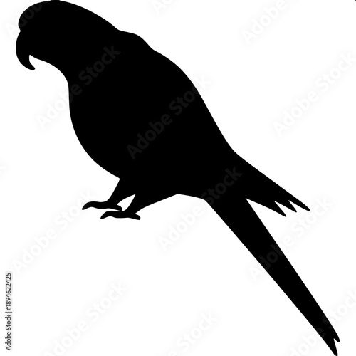 Monochrome parrot head drawing, side view, thick black strokes, negative space feathers, modern logo illustration