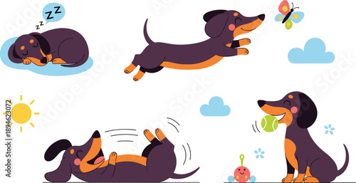 Cute dachshund dog collection with sleeping playing rolling and seasonal cartoon pet illustration set