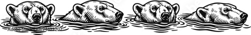 four polar bear heads in water engraved illustration wild animal wildlife arctic nature concept