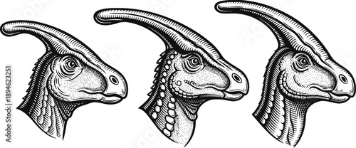 three detailed black and white dinosaur heads, parasaurolophus portraits with distinctive crests, vintage engraving