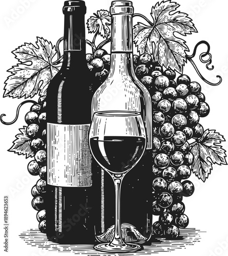 Wine bottles and glass with grape clusters and vine leaves, vintage engraved illustration