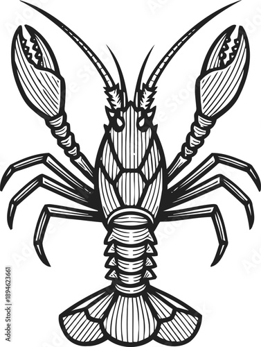 Detailed black and white illustration of a lobster with claws and antennae, marine crustacean artwork