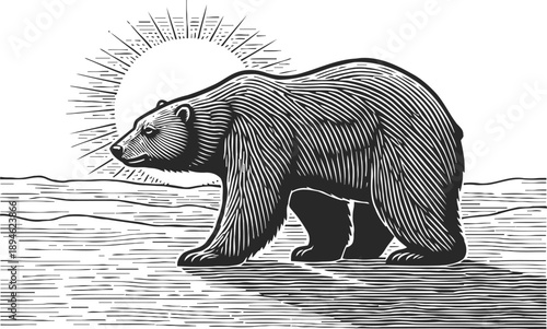engraved bear walking on plain with sun rising behind and textured landscape background