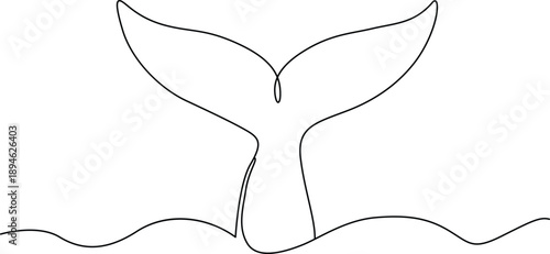 Whale tail emerging from water Vector