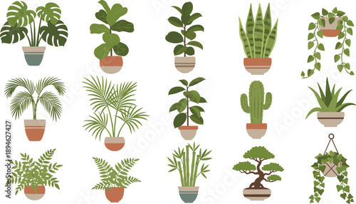 Indoor potted plant collection with tropical foliage cactus bonsai and hanging greenery botanical illustration set