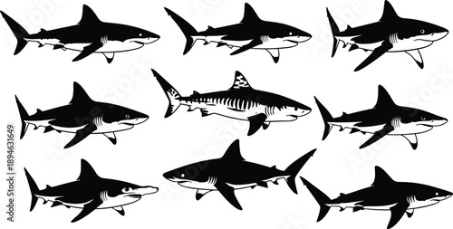 Shark silhouettes set, ocean predator collection, marine wildlife illustration, black fish icons, isolated sea animal shapes on white background design